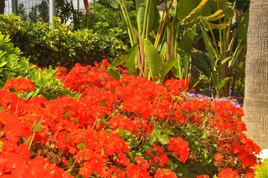 Mirador Resort & Spa كوناكلي المظهر الخارجي الصورة