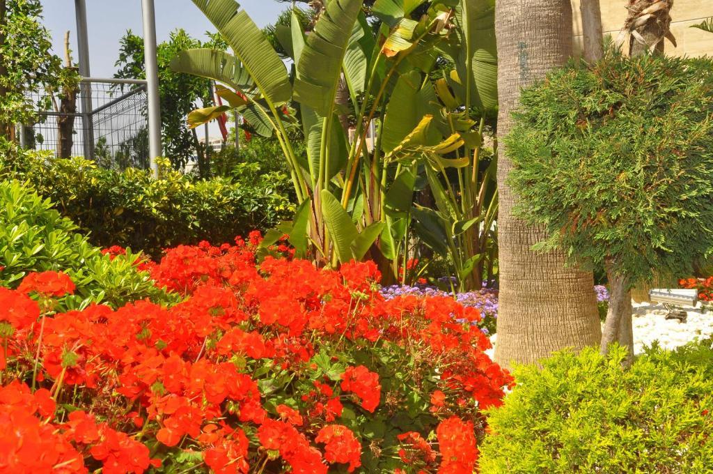 Mirador Resort & Spa كوناكلي المظهر الخارجي الصورة