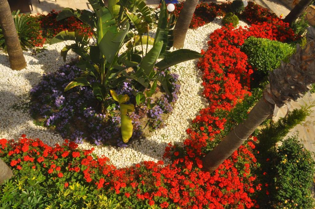 Mirador Resort & Spa كوناكلي المظهر الخارجي الصورة